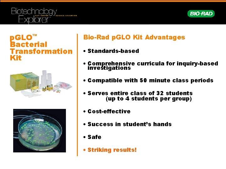 p. GLO™ Bacterial Transformation Kit Bio-Rad p. GLO Kit Advantages • Standards-based • Comprehensive