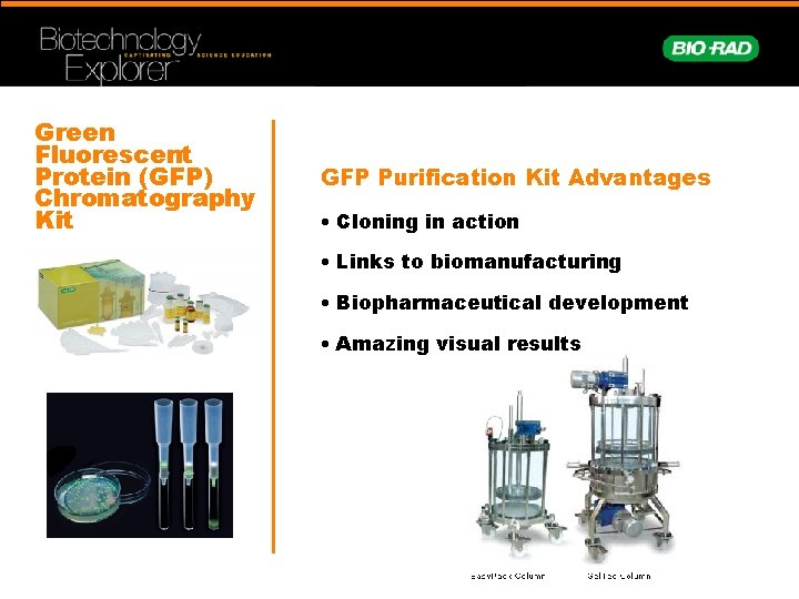 Green Fluorescent Protein (GFP) Chromatography Kit GFP Purification Kit Advantages • Cloning in action