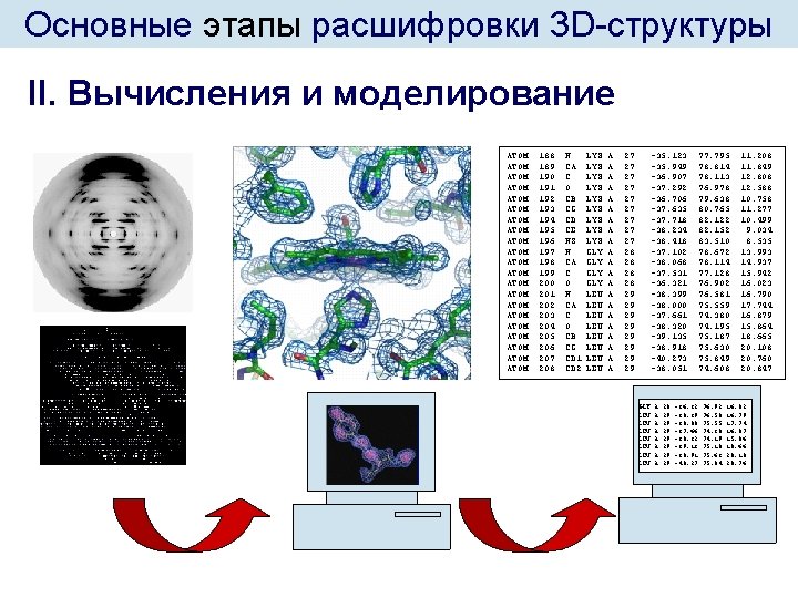 Основные этапы расшифровки 3 D-структуры II. Вычисления и моделирование ATOM ATOM ATOM ATOM ATOM