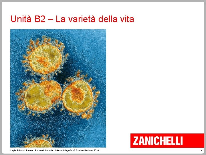 Unità B 2 – La varietà della vita Lupia Palmieri, Parotto, Saraceni, Strumia, Scienze