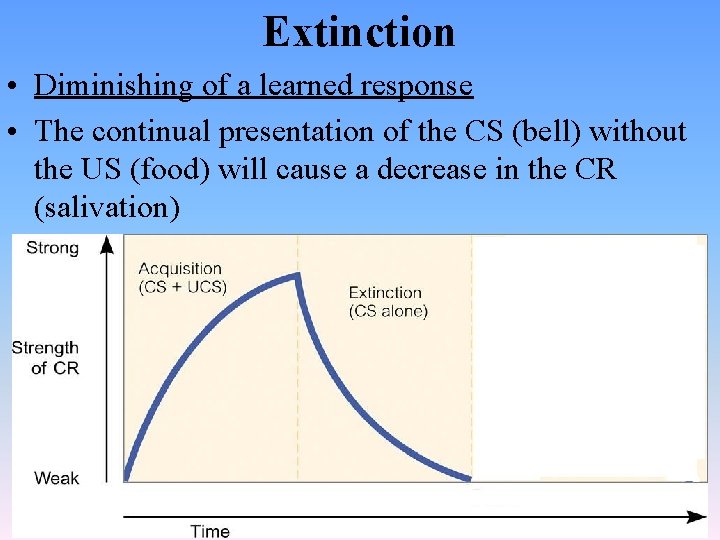 Extinction • Diminishing of a learned response • The continual presentation of the CS