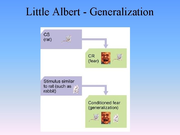 Little Albert - Generalization 