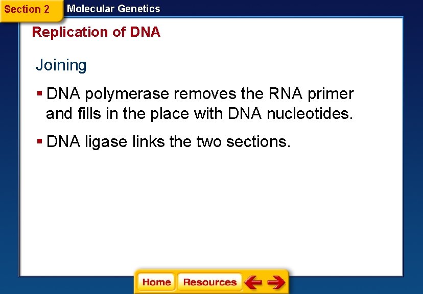 Section 2 Molecular Genetics Replication of DNA Joining § DNA polymerase removes the RNA