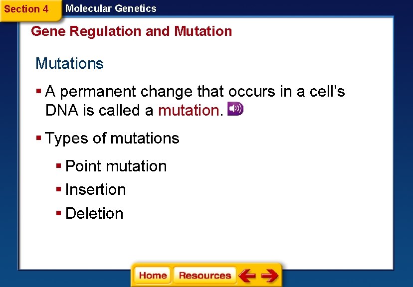 Section 4 Molecular Genetics Gene Regulation and Mutations § A permanent change that occurs