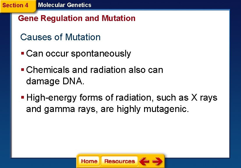 Section 4 Molecular Genetics Gene Regulation and Mutation Causes of Mutation § Can occur