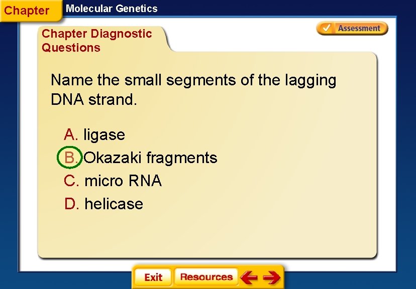 Chapter Molecular Genetics Chapter Diagnostic Questions Name the small segments of the lagging DNA