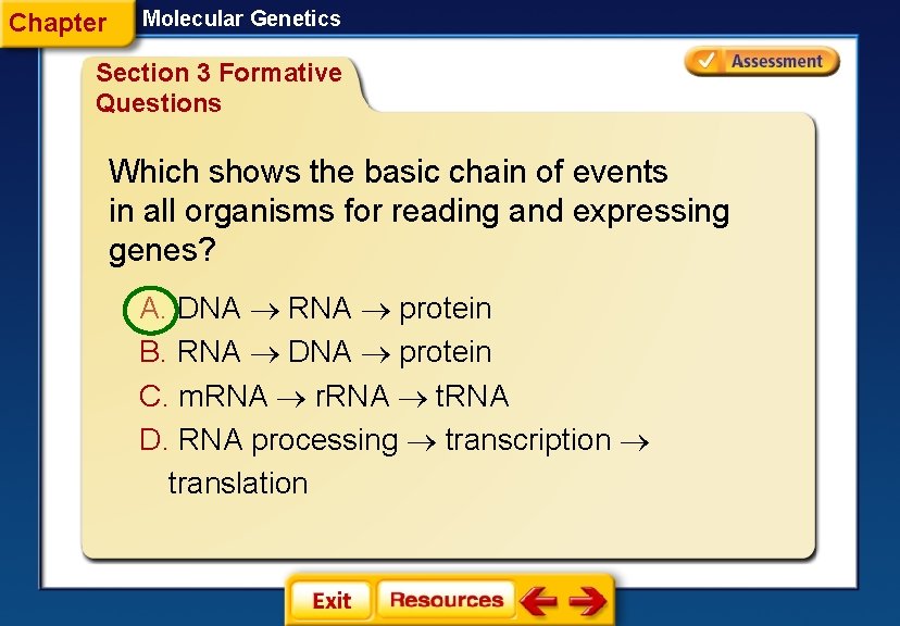 Chapter Molecular Genetics Section 3 Formative Questions Which shows the basic chain of events