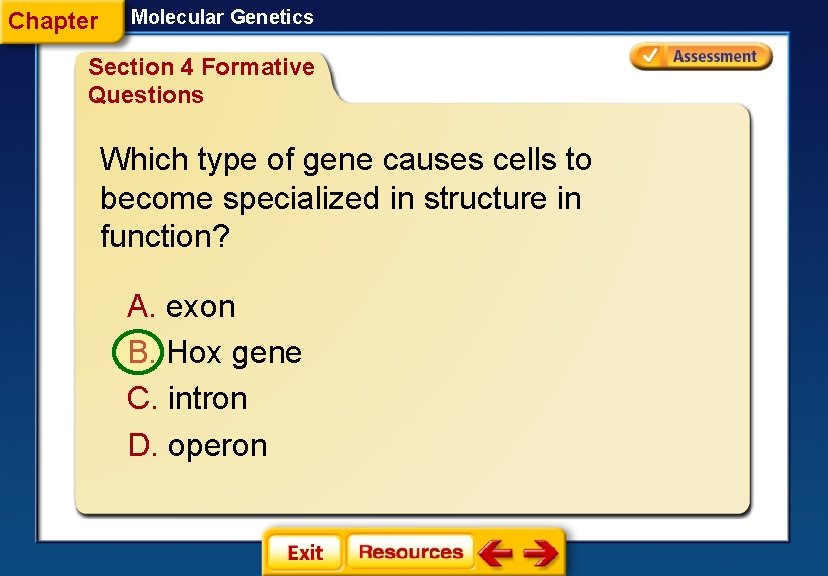 Chapter Molecular Genetics Section 4 Formative Questions Which type of gene causes cells to