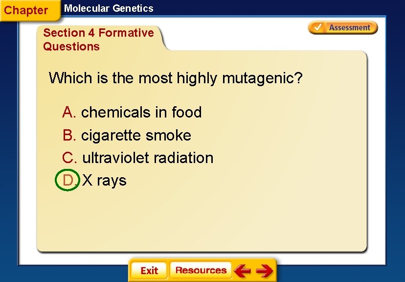 Chapter Molecular Genetics Section 4 Formative Questions Which is the most highly mutagenic? A.