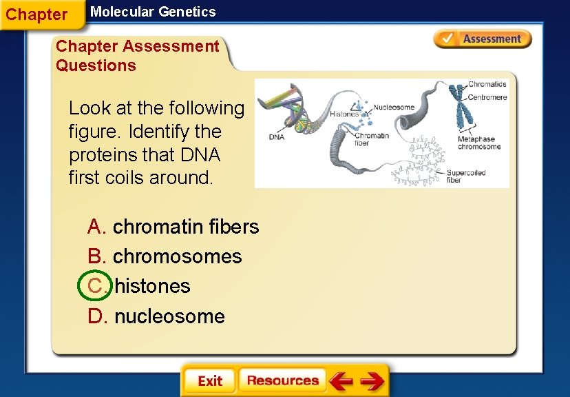 Chapter Molecular Genetics Chapter Assessment Questions Look at the following figure. Identify the proteins