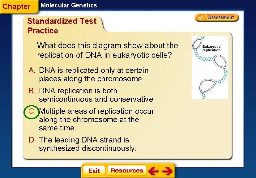 Chapter Molecular Genetics Standardized Test Practice What does this diagram show about the replication