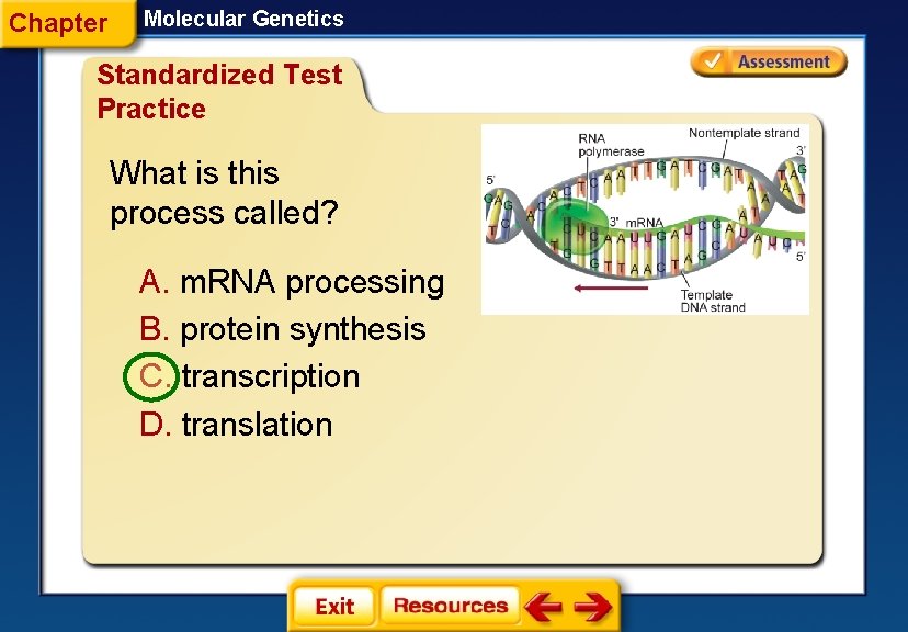 Chapter Molecular Genetics Standardized Test Practice What is this process called? A. m. RNA