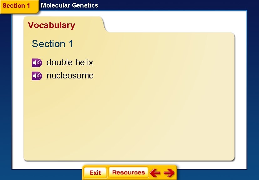 Section 1 Molecular Genetics Vocabulary Section 1 double helix nucleosome 