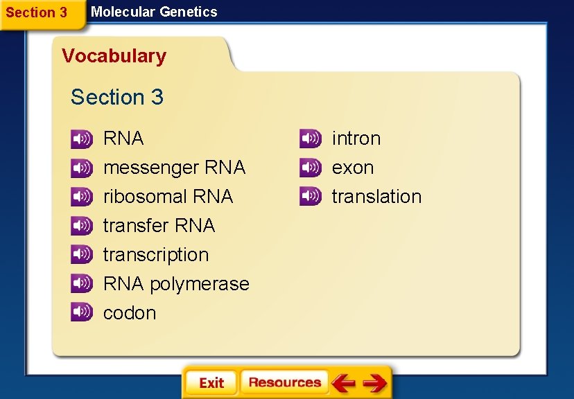 Section 3 Molecular Genetics Vocabulary Section 3 RNA intron messenger RNA ribosomal RNA transfer