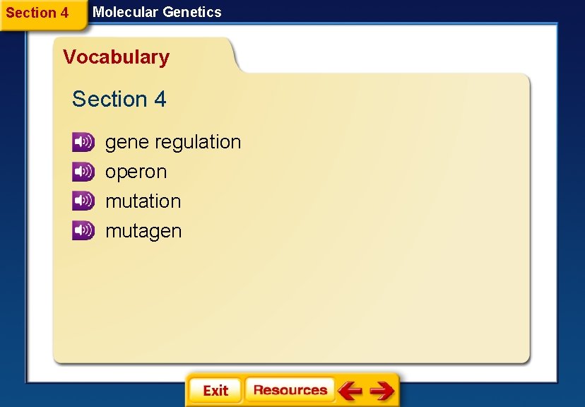 Section 4 Molecular Genetics Vocabulary Section 4 gene regulation operon mutation mutagen 