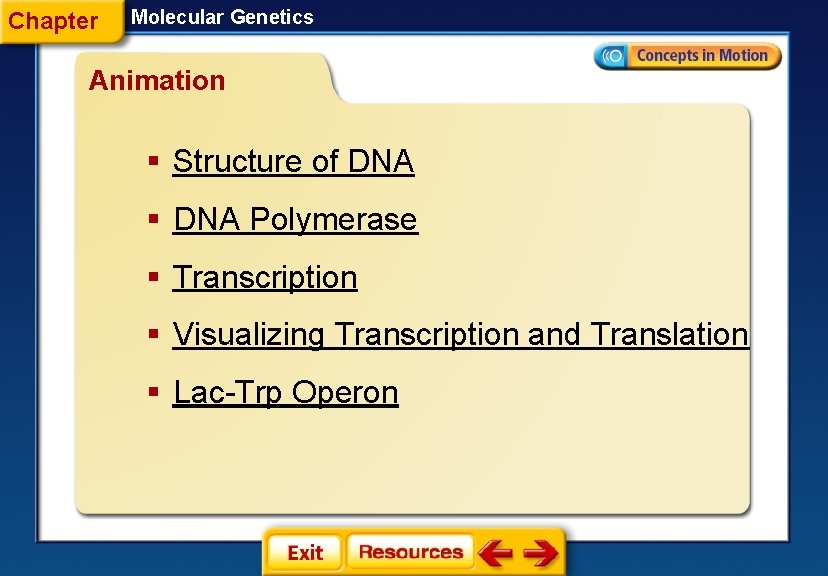 Chapter Molecular Genetics Animation § Structure of DNA § DNA Polymerase § Transcription §