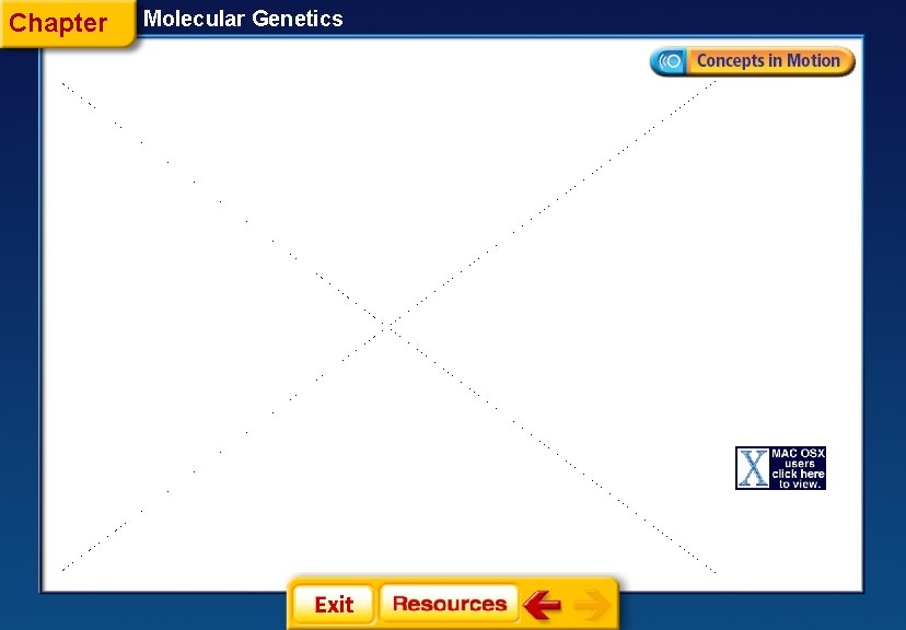Chapter Molecular Genetics 