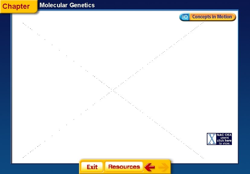 Chapter Molecular Genetics 