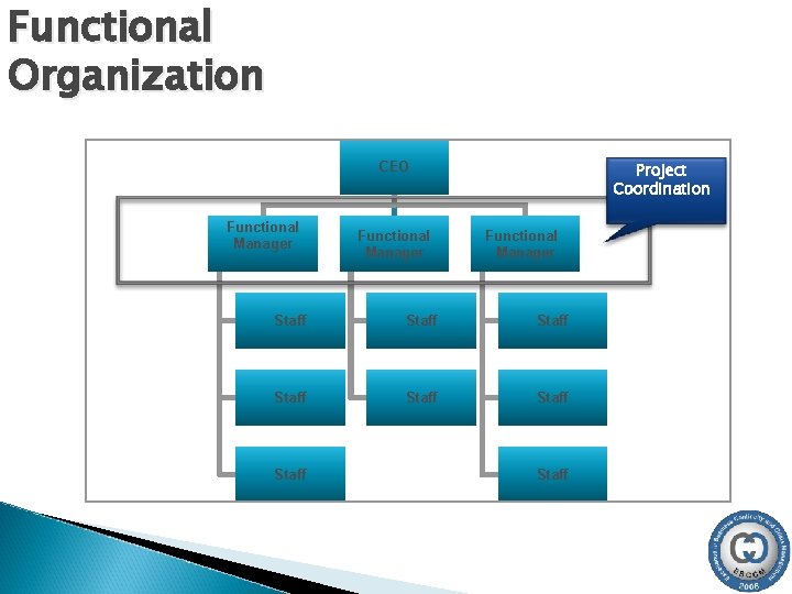 Functional Organization Project Coordination CEO Functional Manager Staff Staff 