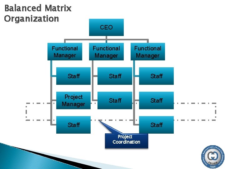 Balanced Matrix Organization CEO Functional Manager Staff Project Manager Staff Project Coordination 