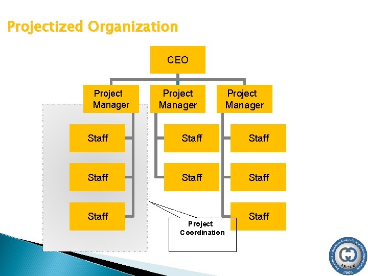 Projectized Organization CEO Project Manager Staff Staff Project Coordination Staff 