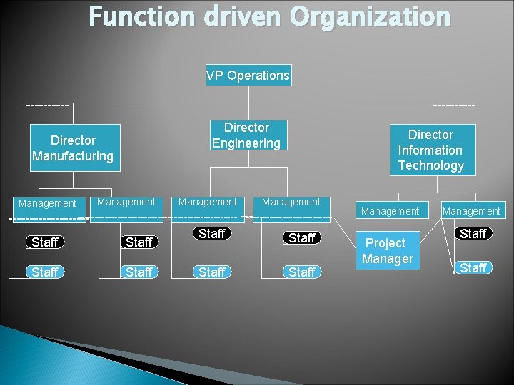 Function driven Organization VP Operations -----Director Engineering Director Manufacturing Director Information Technology Management -------------------------------------------------Management
