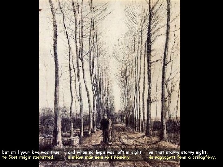 but still your love was true te őket mégis szeretted, and when no hope