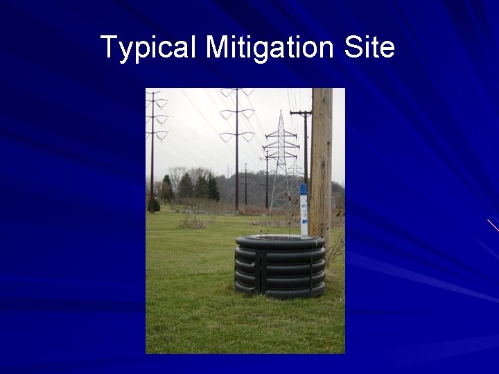 Typical Mitigation Site 