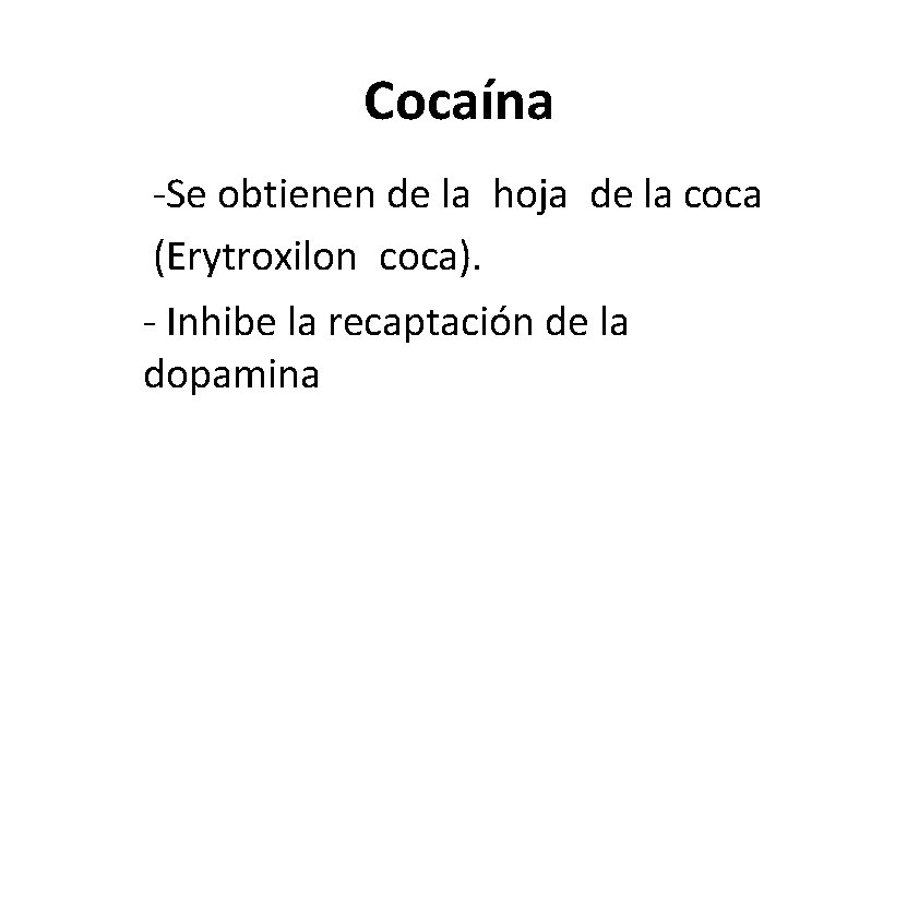 Cocaína -Se obtienen de la hoja de la coca (Erytroxilon coca). - Inhibe la Cocaína -Se obtienen de la hoja de la coca (Erytroxilon coca). - Inhibe la