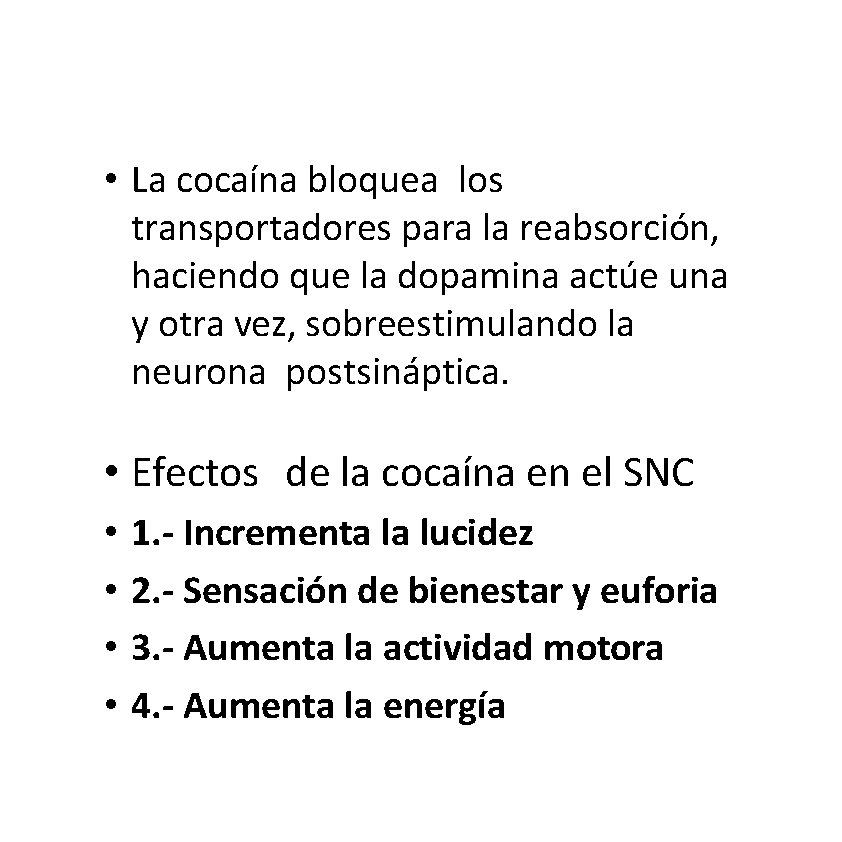 • La cocaína bloquea los transportadores para la reabsorción, haciendo que la dopamina • La cocaína bloquea los transportadores para la reabsorción, haciendo que la dopamina