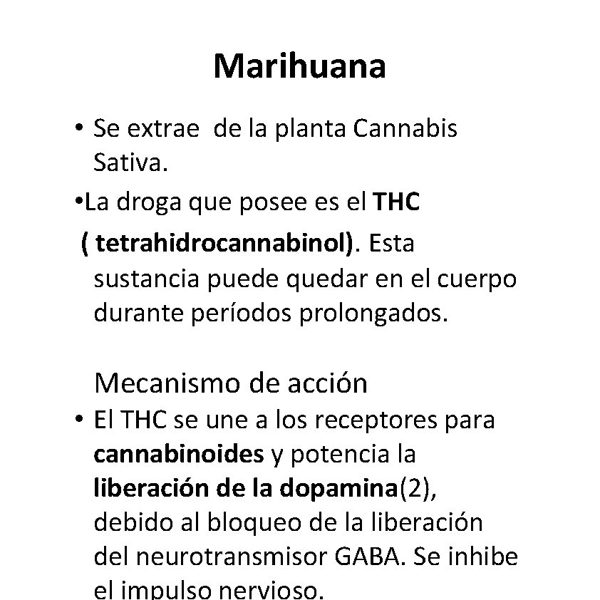 Marihuana • Se extrae de la planta Cannabis Sativa. • La droga que posee Marihuana • Se extrae de la planta Cannabis Sativa. • La droga que posee