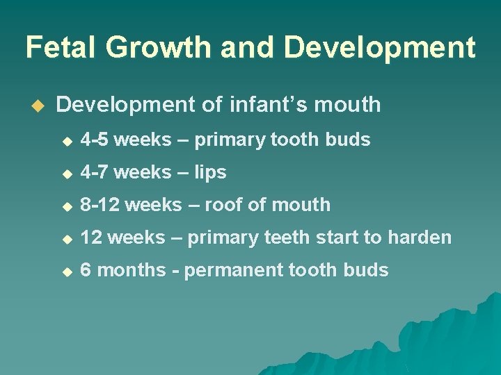 Fetal Growth and Development u Development of infant’s mouth u 4 -5 weeks –