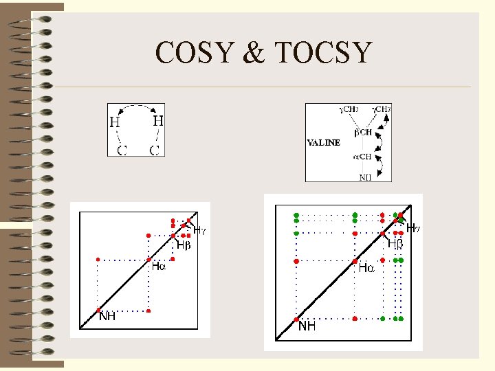 COSY & TOCSY 