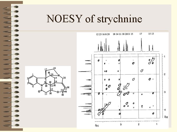 NOESY of strychnine 