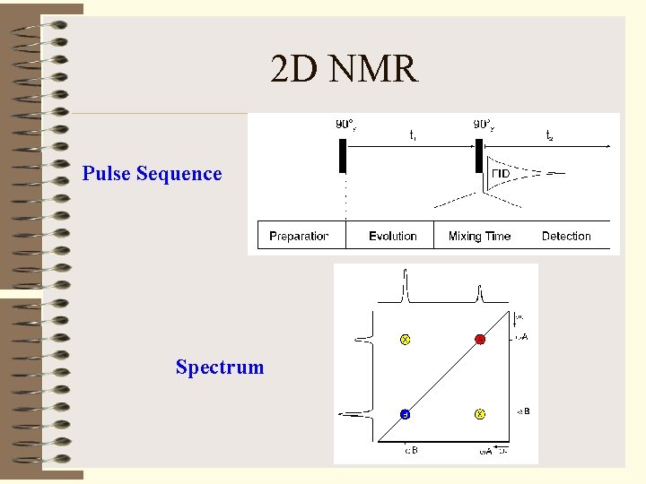 2 D NMR Pulse Sequence Spectrum 