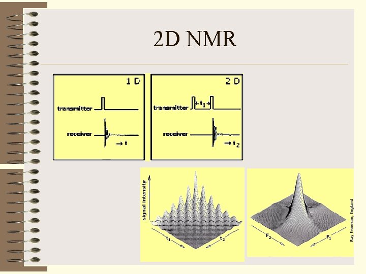 2 D NMR 