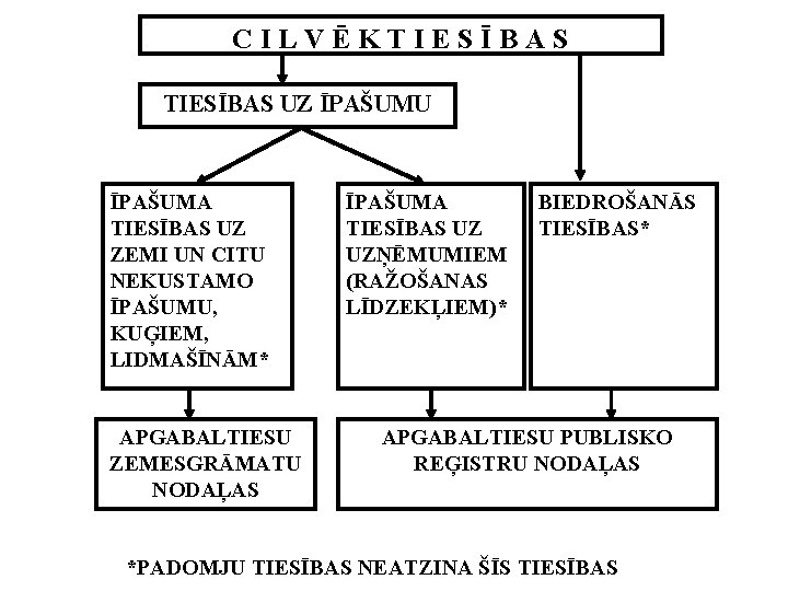 CILVĒKTIESĪBAS UZ ĪPAŠUMU ĪPAŠUMA TIESĪBAS UZ ZEMI UN CITU NEKUSTAMO ĪPAŠUMU, KUĢIEM, LIDMAŠĪNĀM* APGABALTIESU