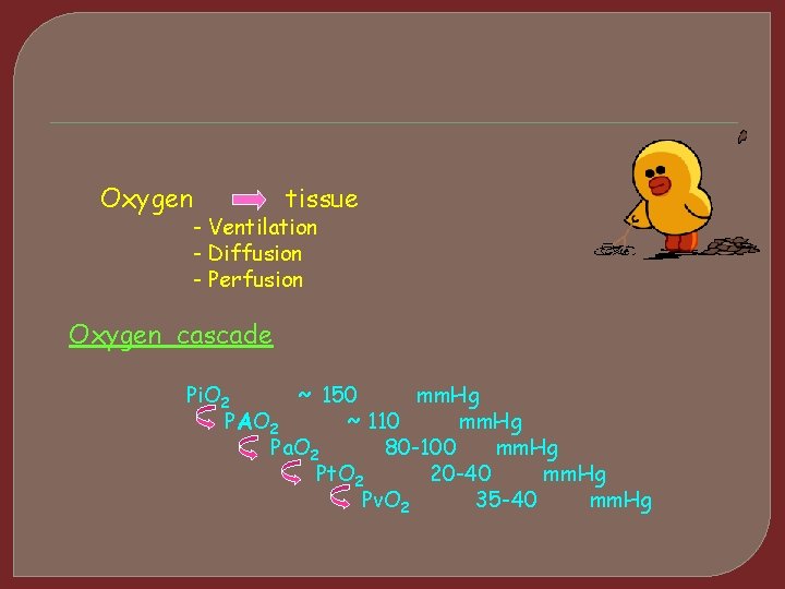 Oxygen tissue - Ventilation - Diffusion - Perfusion Oxygen cascade Pi. O 2 ~