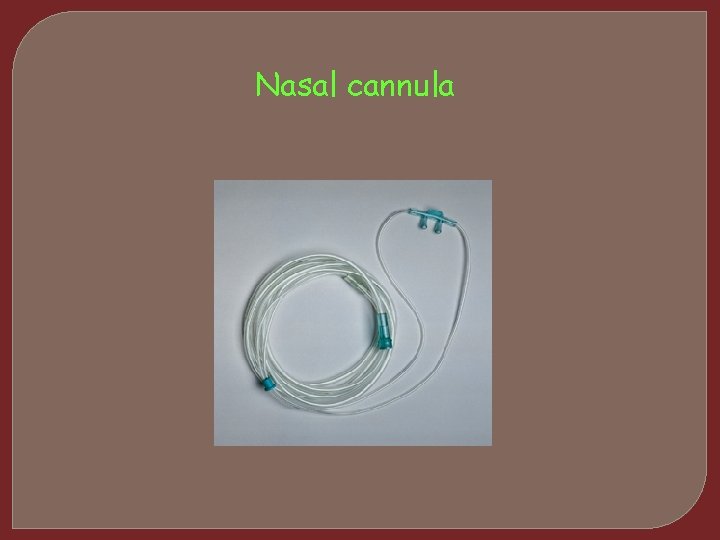 Nasal cannula 