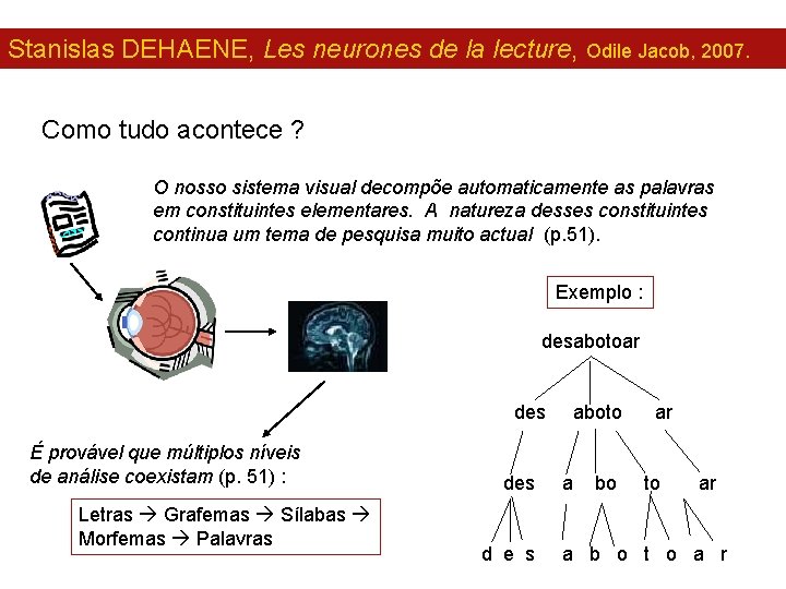 Stanislas DEHAENE, Les neurones de la lecture, Odile Jacob, 2007. Como tudo acontece ?