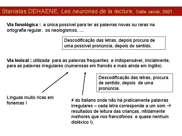 Stanislas DEHAENE, Les neurones de la lecture, Odile Jacob, 2007. Via fonológica : a