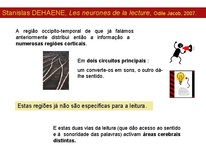 Stanislas DEHAENE, Les neurones de la lecture, Odile Jacob, 2007. A região occipito-temporal de