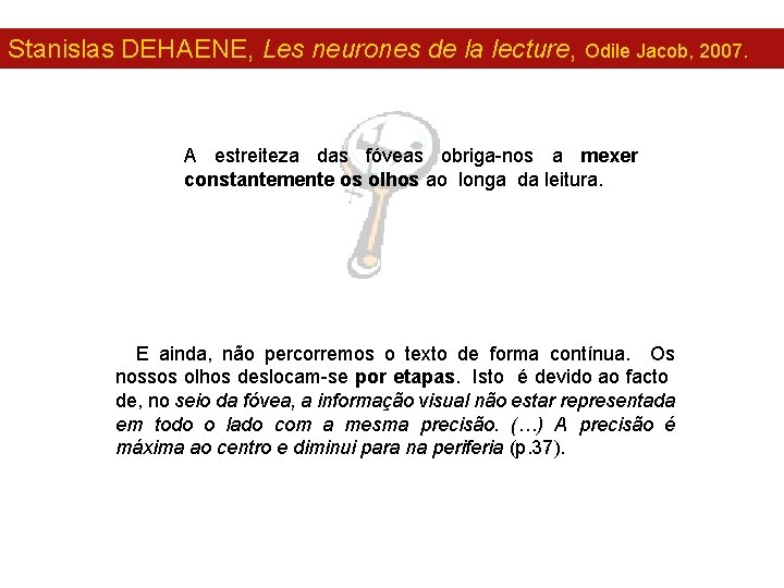 Stanislas DEHAENE, Les neurones de la lecture, Odile Jacob, 2007. A estreiteza das fóveas