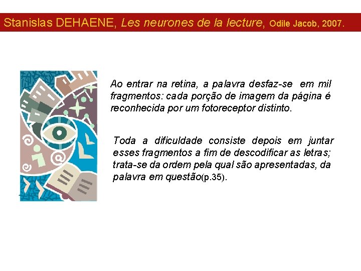 Stanislas DEHAENE, Les neurones de la lecture, Odile Jacob, 2007. Ao entrar na retina,