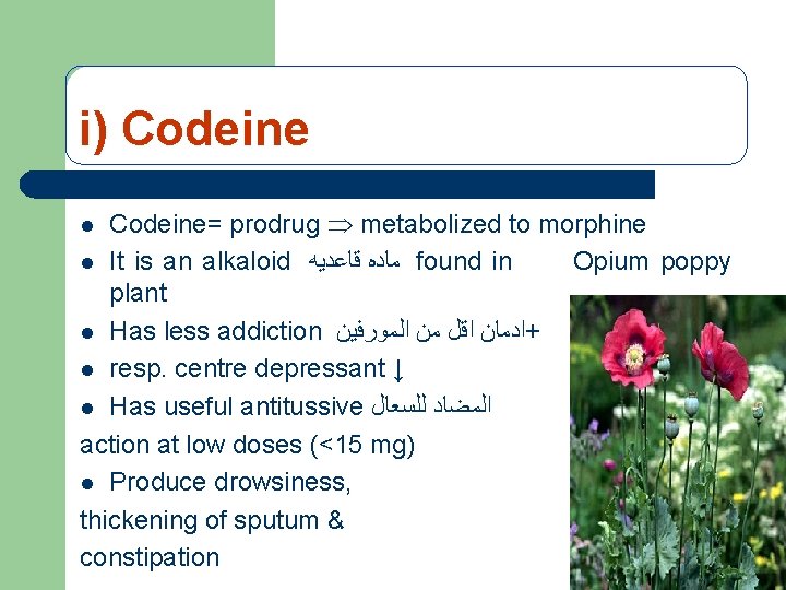 i) Codeine= prodrug metabolized to morphine l It is an alkaloid ﻣﺎﺩﻩ ﻗﺎﻋﺪﻳﻪ found