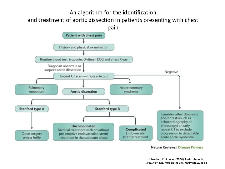 An algorithm for the identification and treatment of aortic dissection in patients presenting with