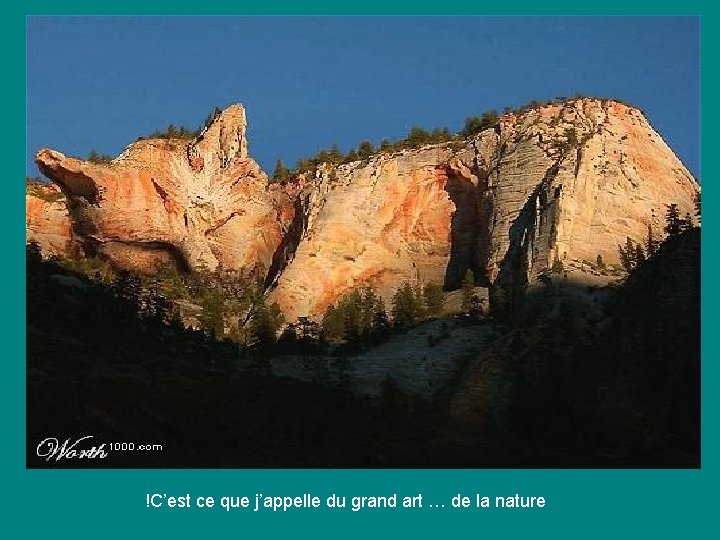 !C’est ce que j’appelle du grand art … de la nature 