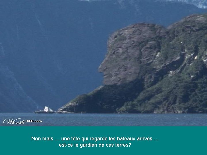 Non mais … une tête qui regarde les bateaux arrivés … est-ce le gardien