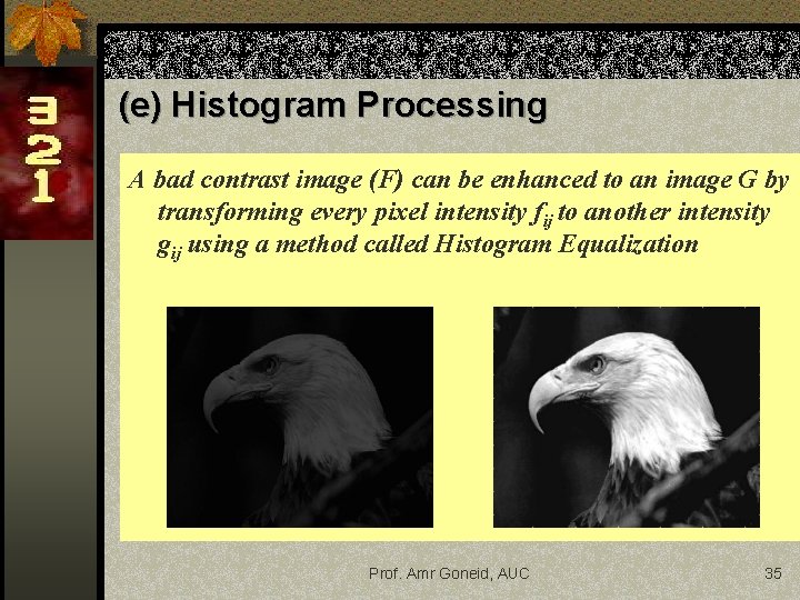 (e) Histogram Processing A bad contrast image (F) can be enhanced to an image