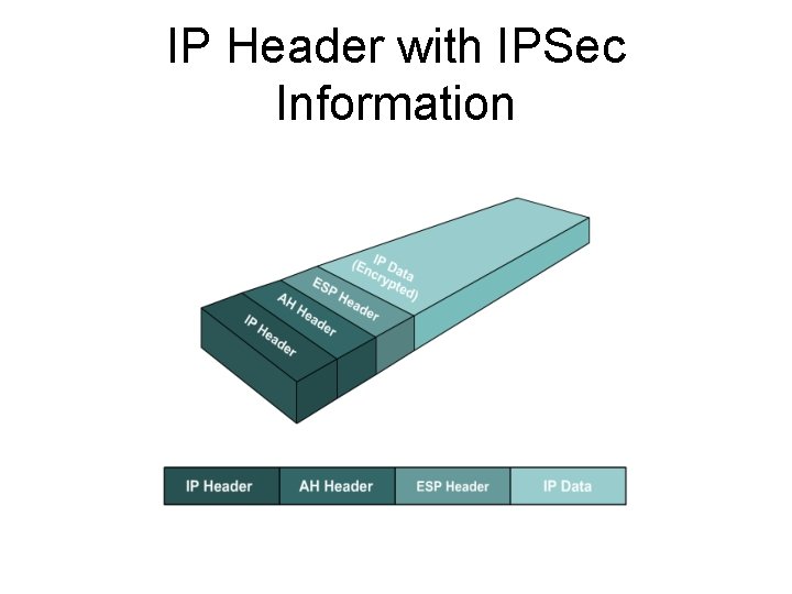 IP Header with IPSec Information 